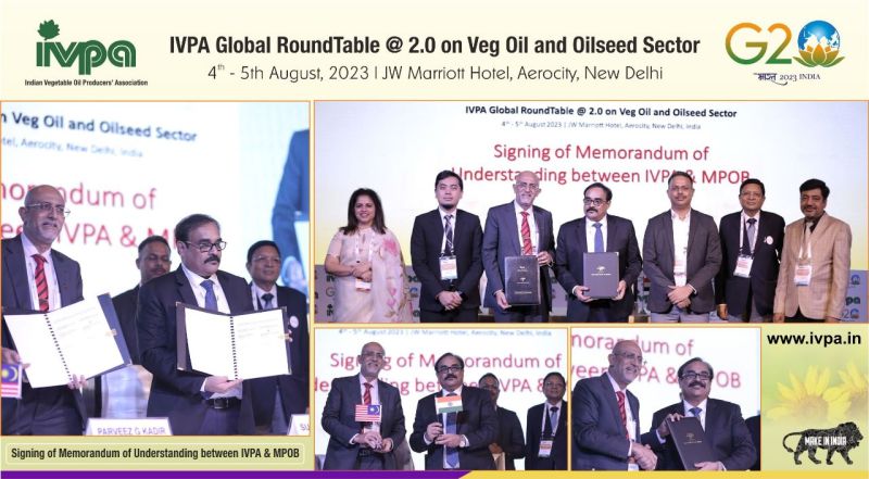 IVPA Global RoundTable @2.0 at New Delhi (2023)